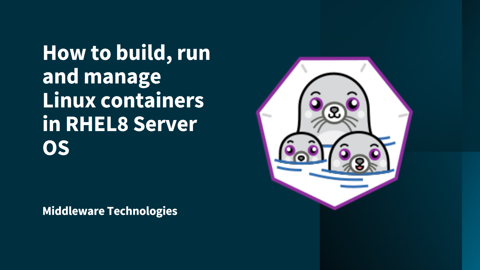 podman_manage_containers