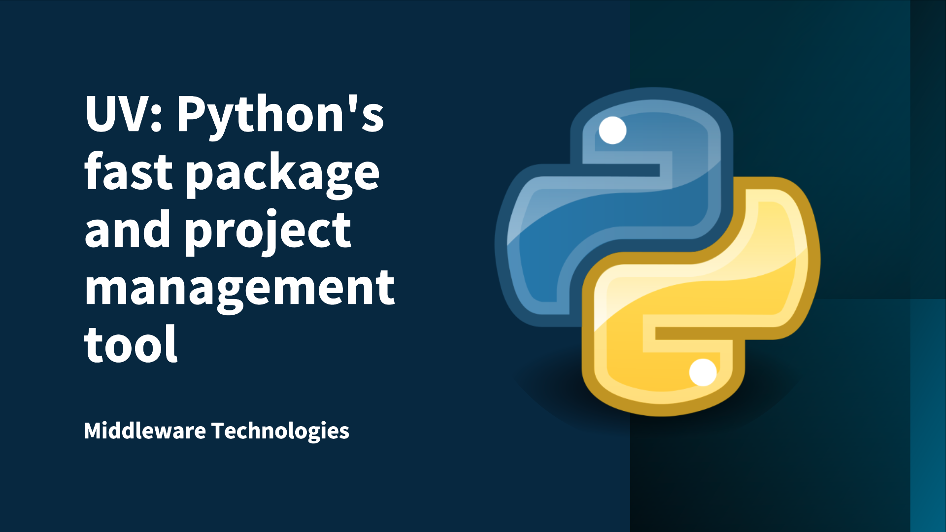 python_uv_package_and_project_manager